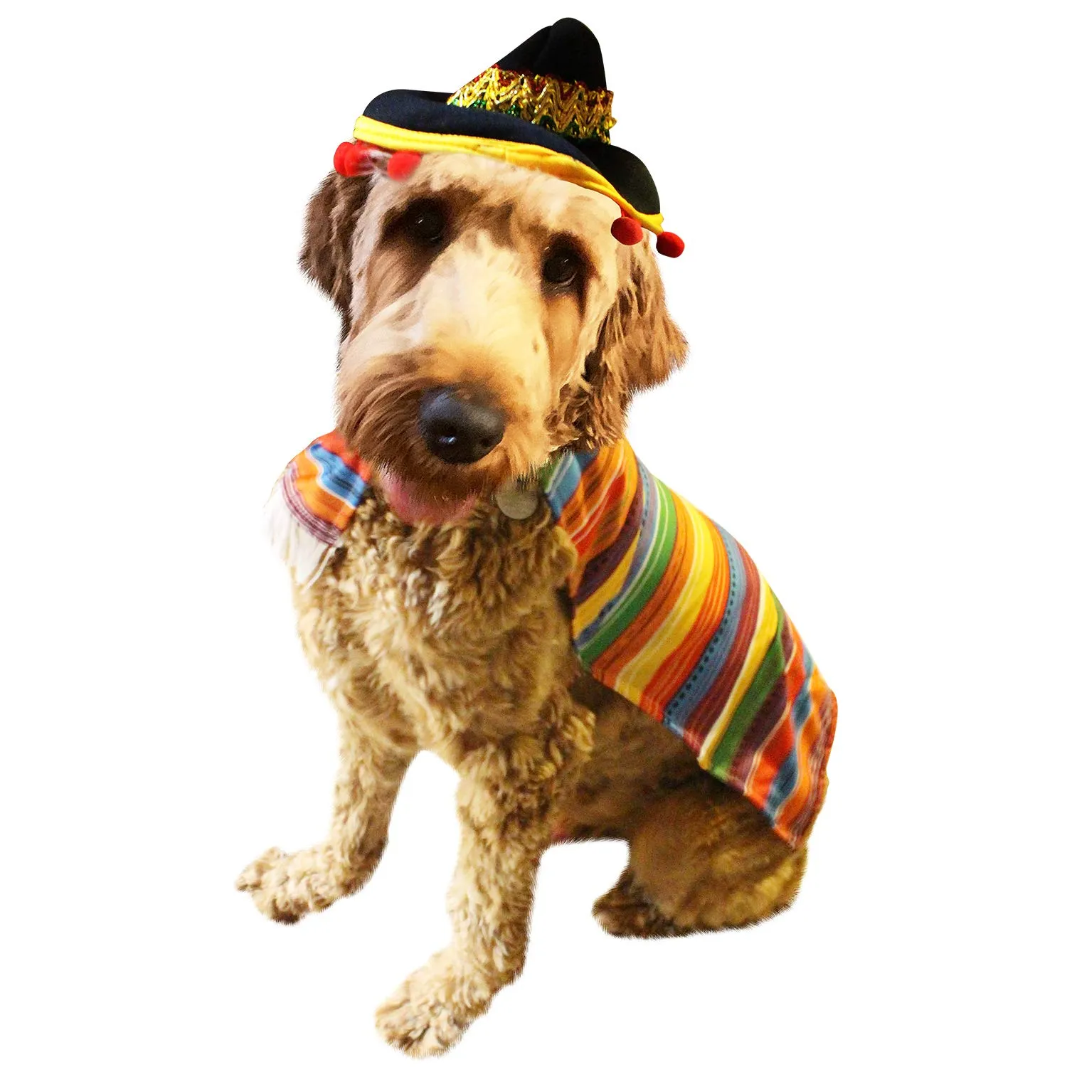 22in Fiesta Pet Costumes, 2 Pcs