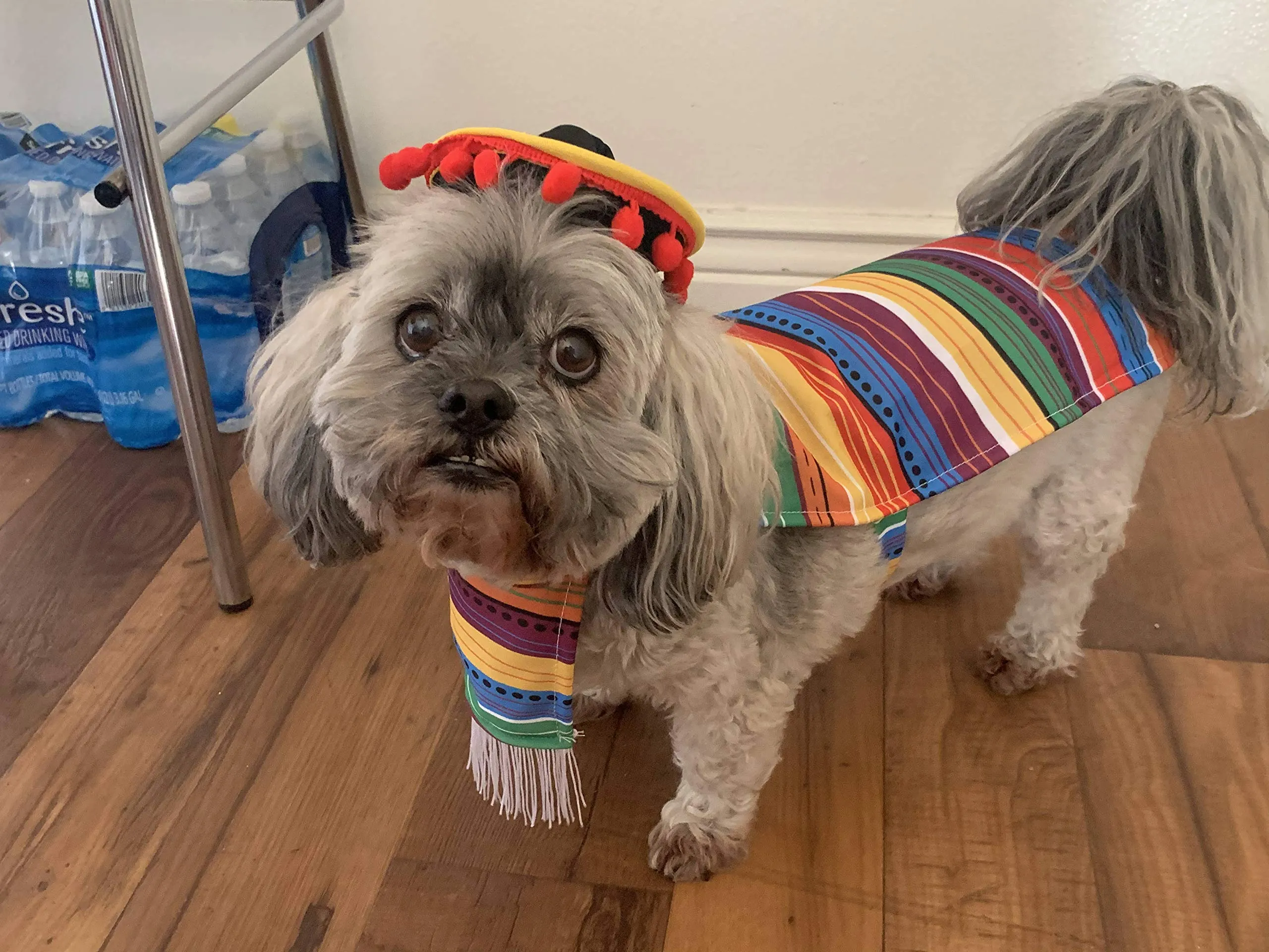22in Fiesta Pet Costumes, 2 Pcs