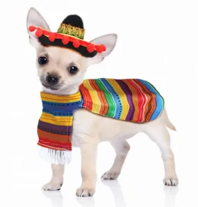 22in Fiesta Pet Costumes, 2 Pcs