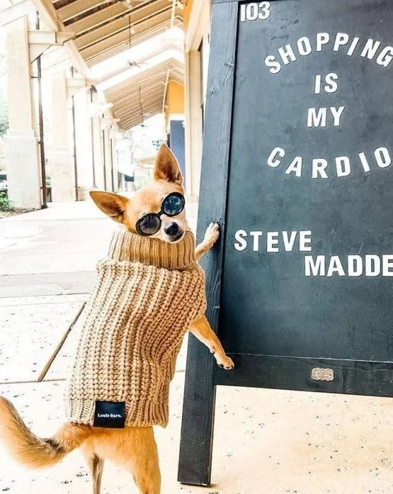Adele Mocha Turtleneck Dog Sweater