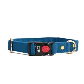 Blueberry Collar (Water Resistant)