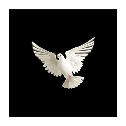 BLUFFF (Appearing Dove) by Juan Pablo Magic