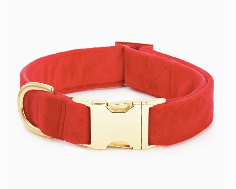 Cranberry Velet Dog Collar