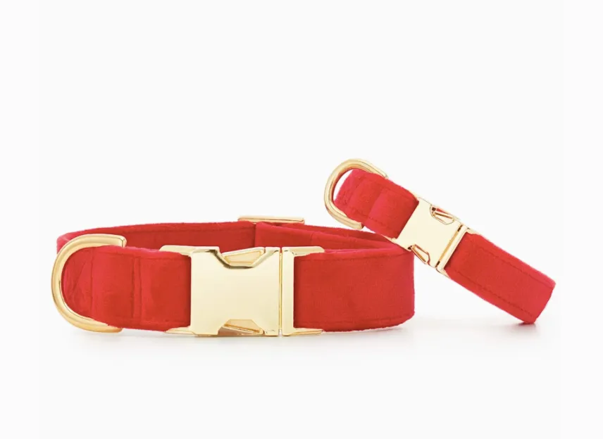 Cranberry Velet Dog Collar