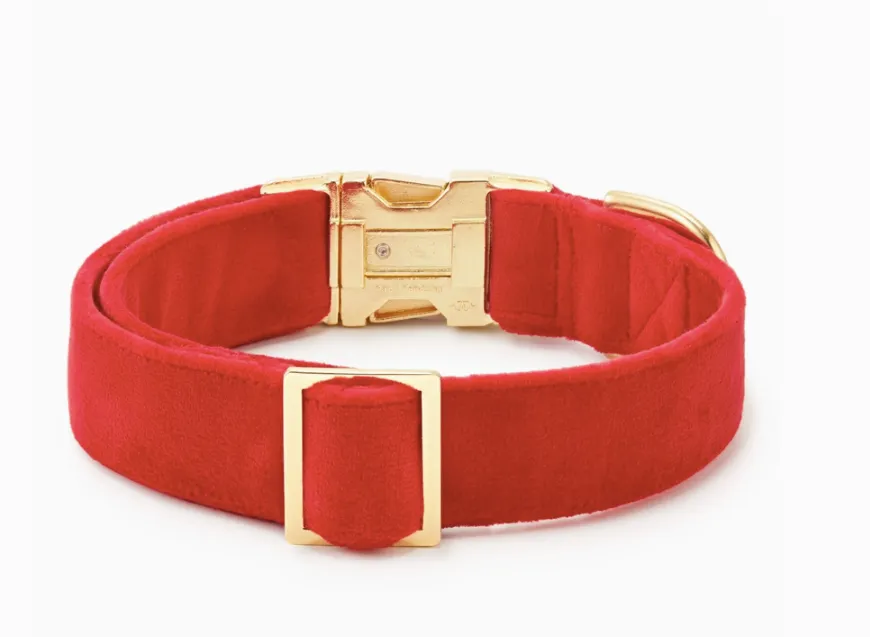 Cranberry Velet Dog Collar