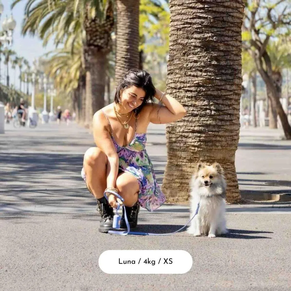 Daydream Blue Dog Collar Walk Set