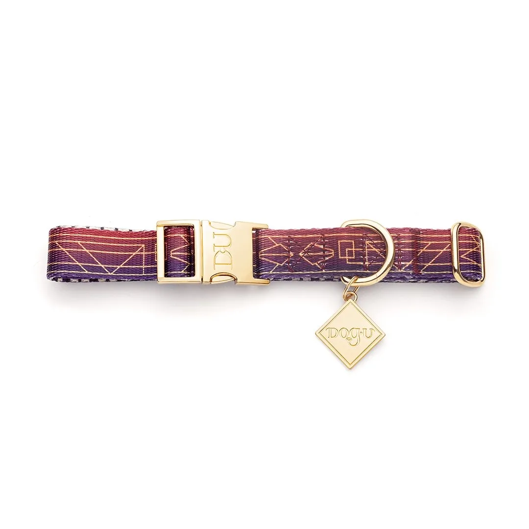 Dog Collar | Jazz