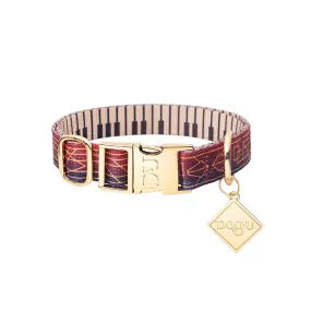 Dog Collar | Jazz