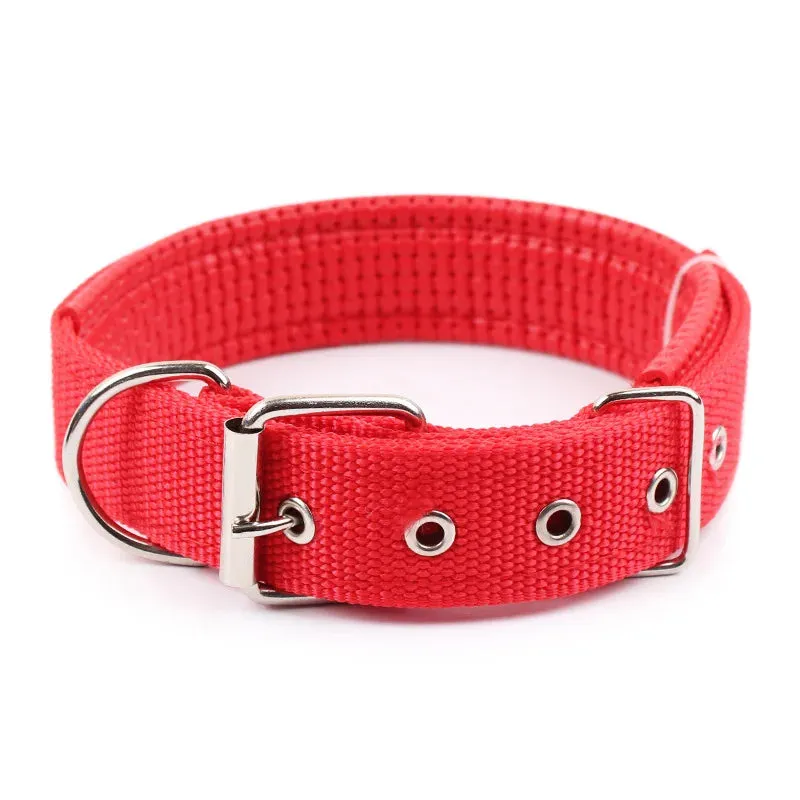 Durable Solid Nylon Dog Collar for Small, Medium, and Large Dogs – Breakaway Design