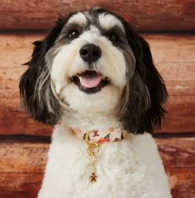 Holiday Cookies Dog Collar