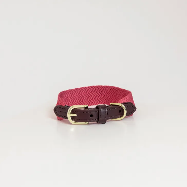 Kentucky Jacquard Dog Collar