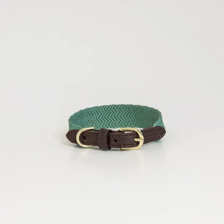Kentucky Jacquard Dog Collar