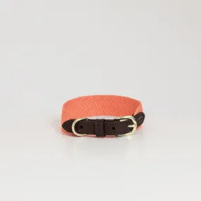 Kentucky Jacquard Dog Collar