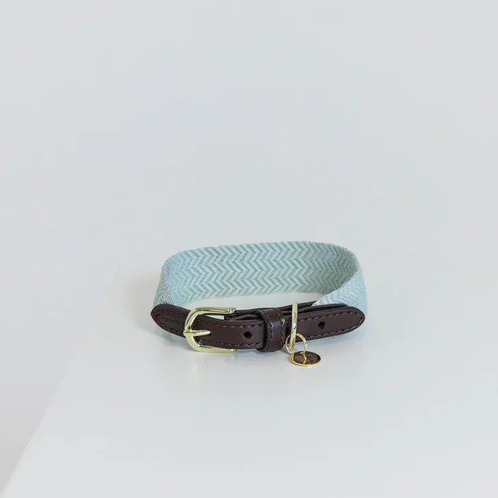 Kentucky Jacquard Dog Collar