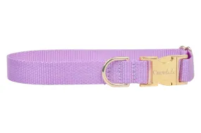 Lavender Webbing Collar