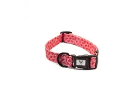 Pickles Watermelon Sugar Collar