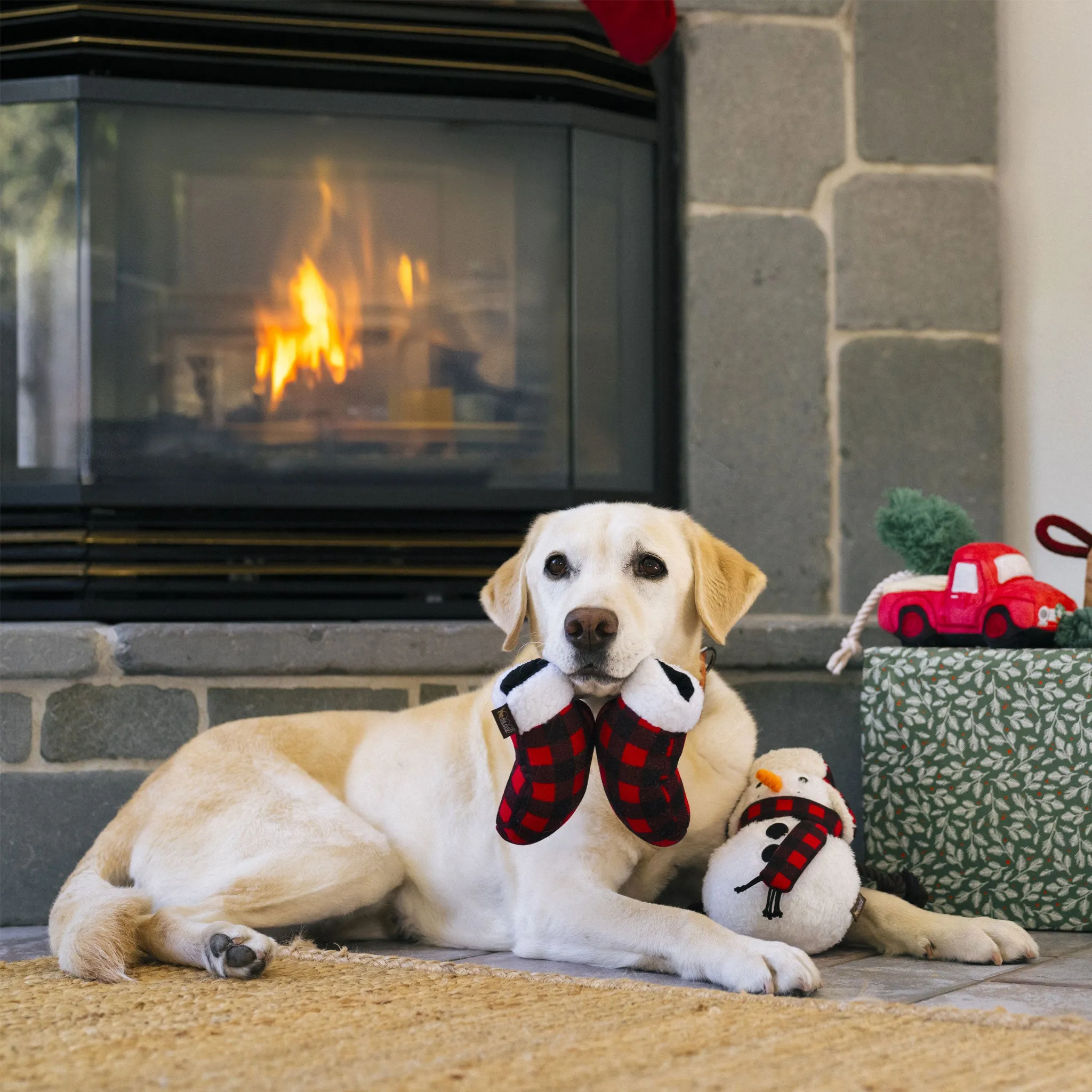P.L.A.Y. Holiday Mittens Dog Toy