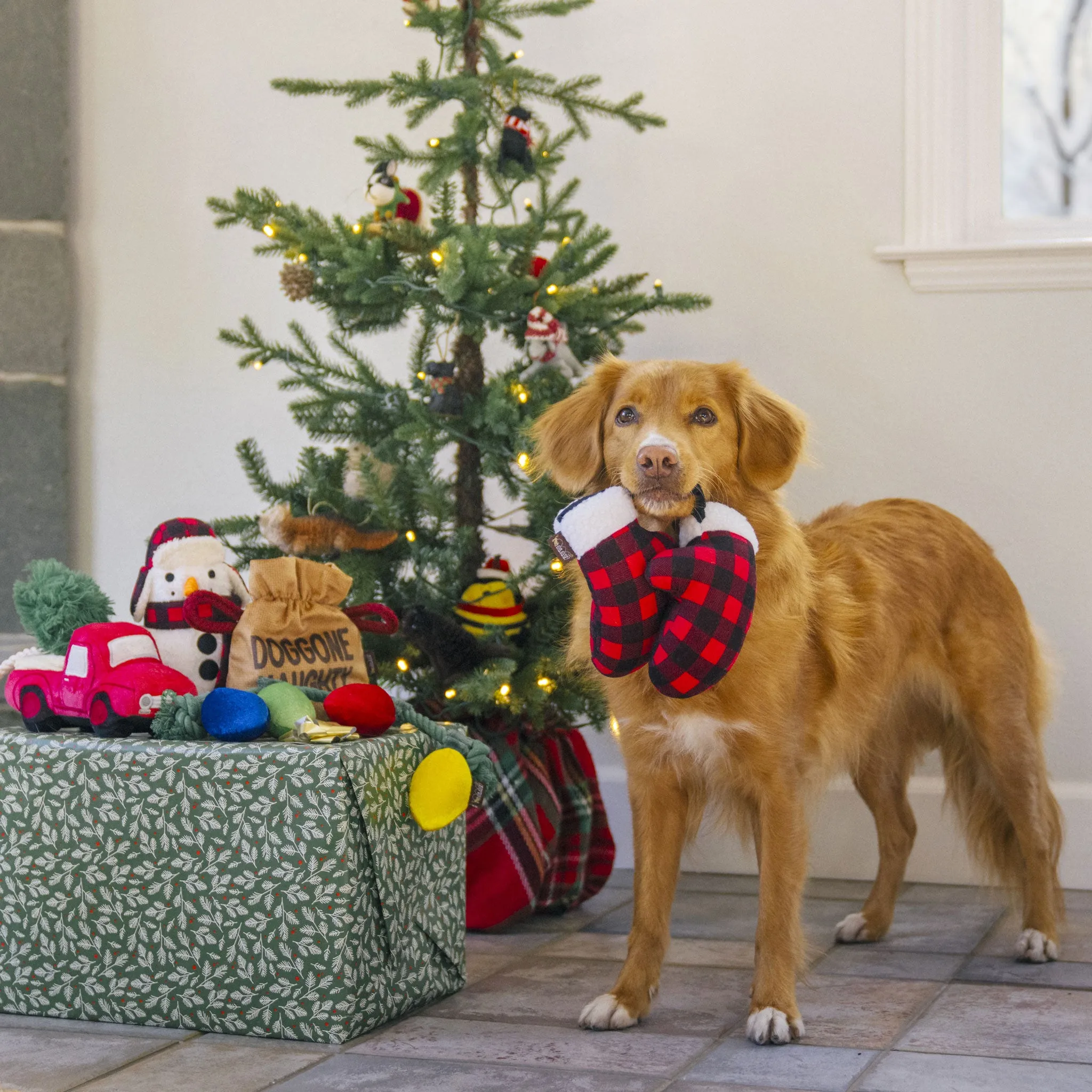 P.L.A.Y. Holiday Mittens Dog Toy