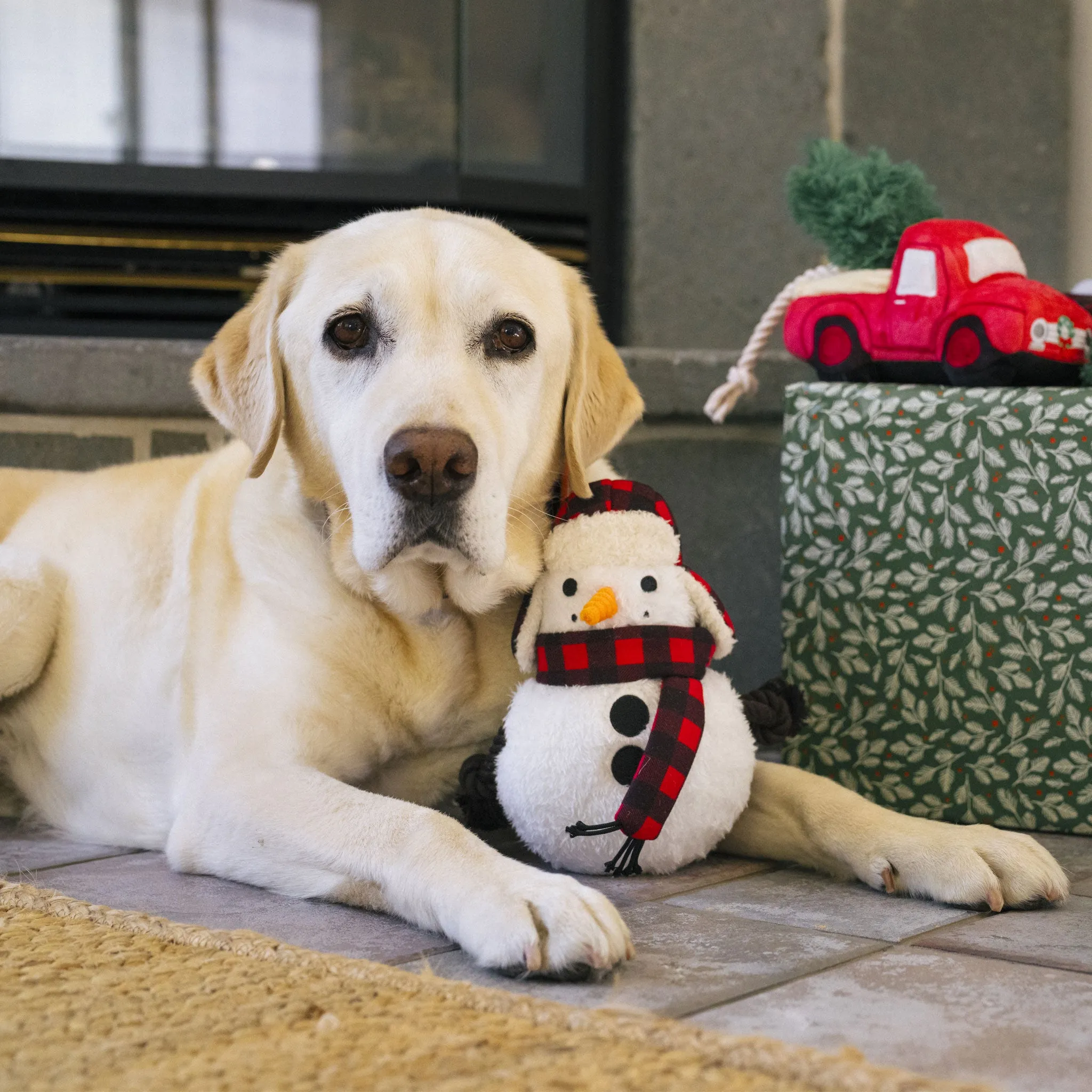 P.L.A.Y. Holiday Snowman Dog Toy