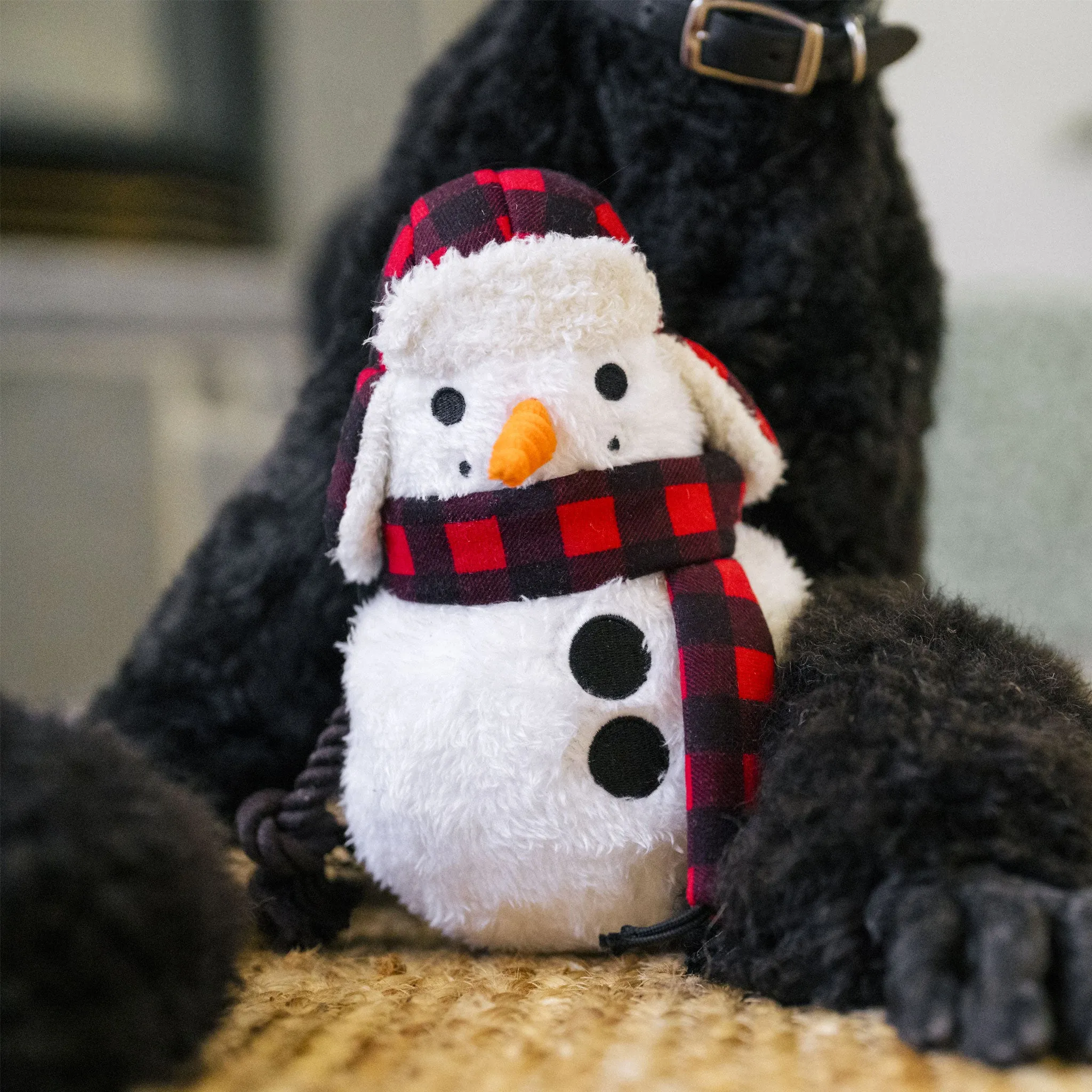 P.L.A.Y. Holiday Snowman Dog Toy