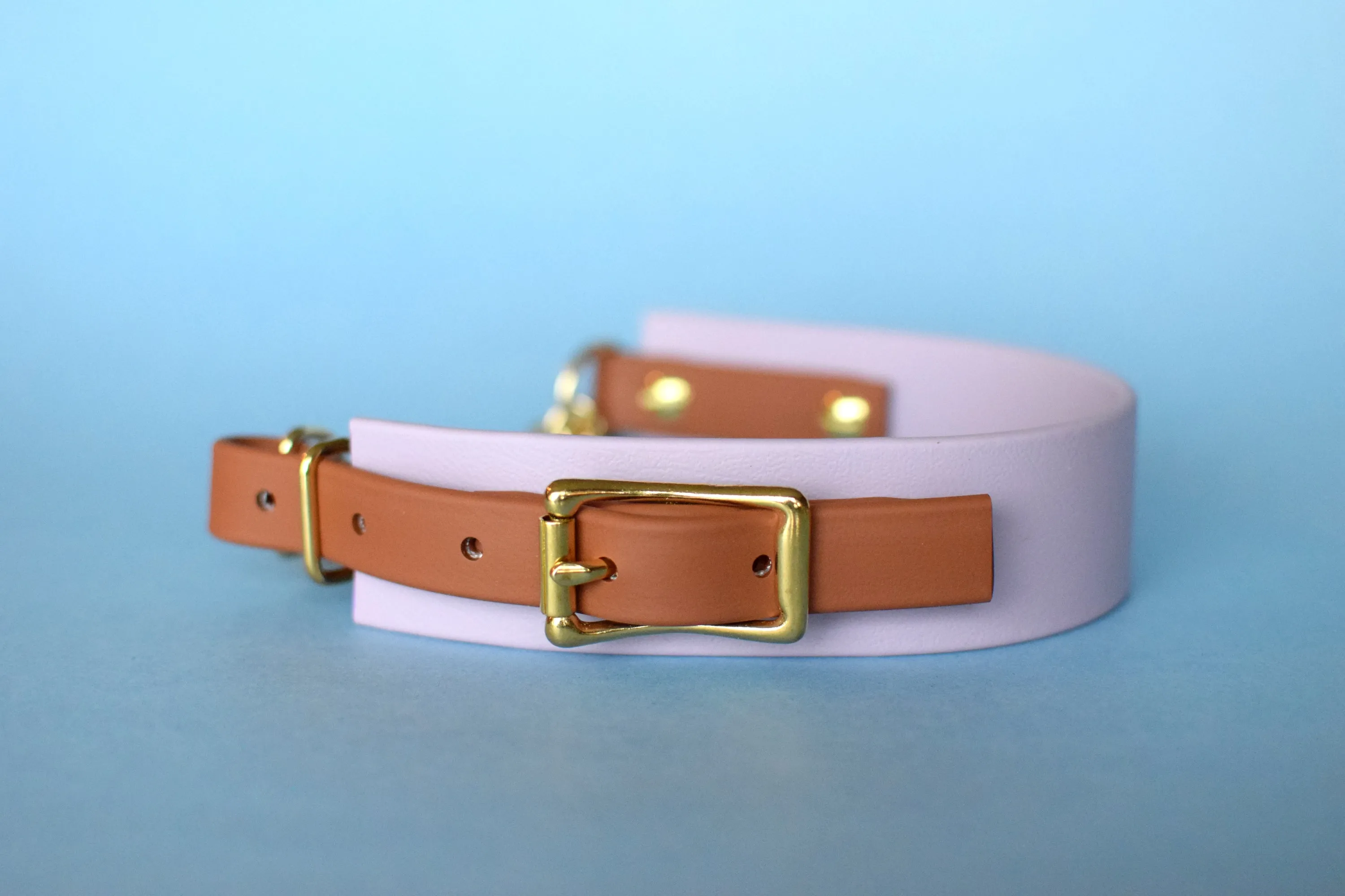PREMADE COLLECTION - Pastel Purple & Tan Biothane Martingale Dog Collar