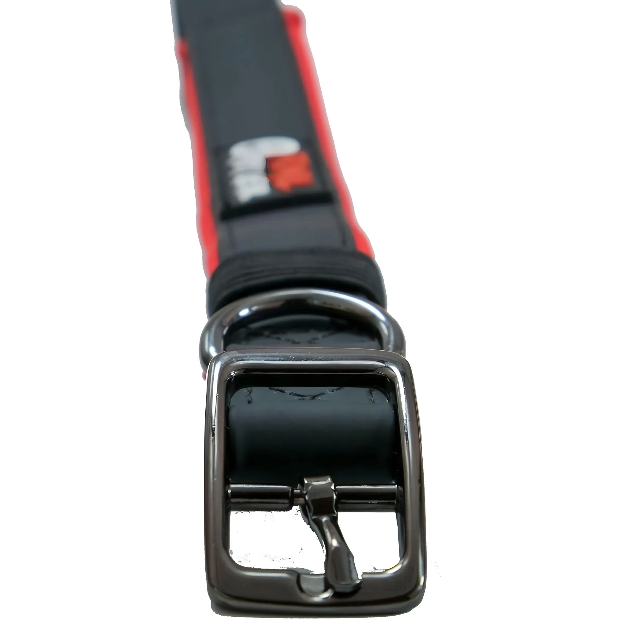 Primal Pet Gear Dog Collars - Tough, Water and Dirt Resistant