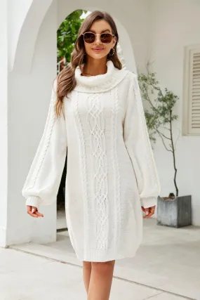 Ritzy Lantern Sleeve Sweater Dress