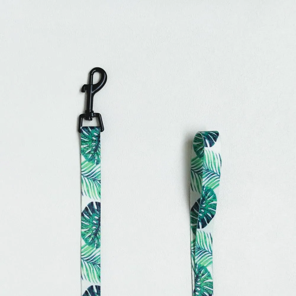 Small Dogs Harness - Tropical Color