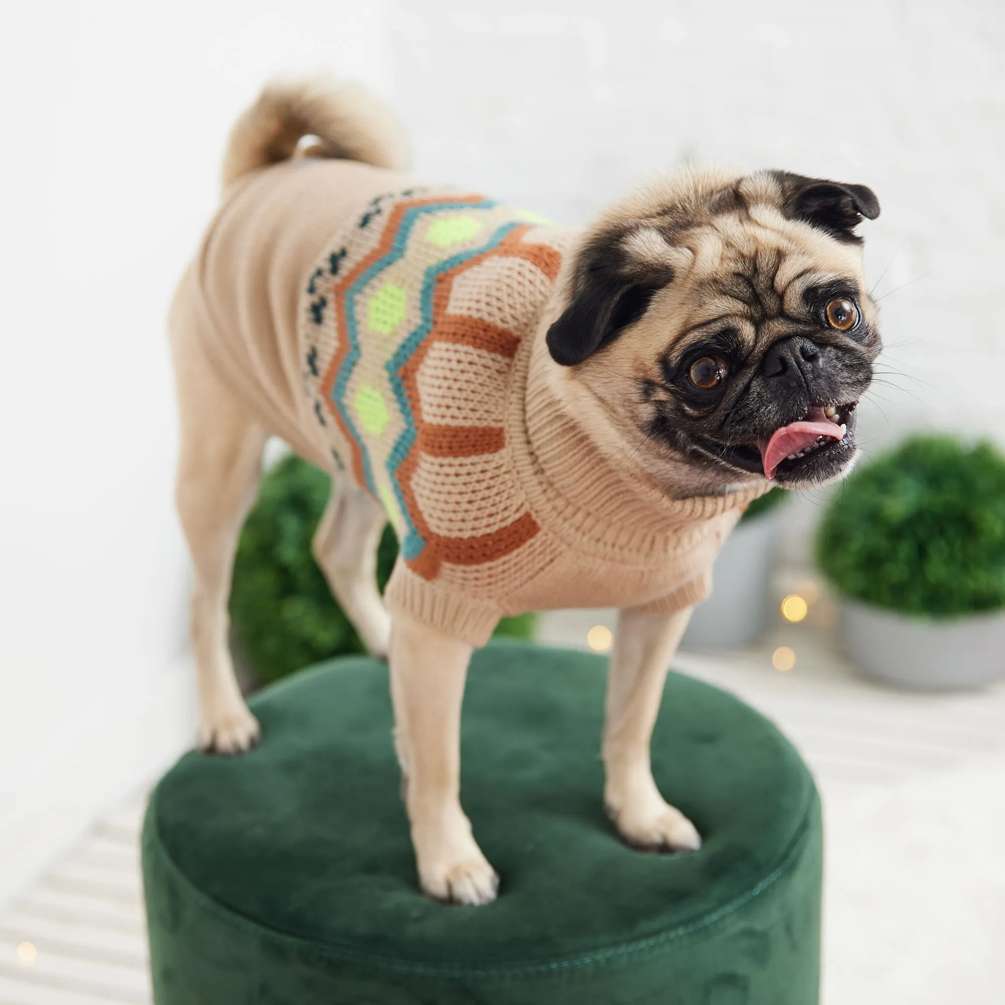Vintage-Inspired Turtleneck Dog Sweater – Cozy & Stylish