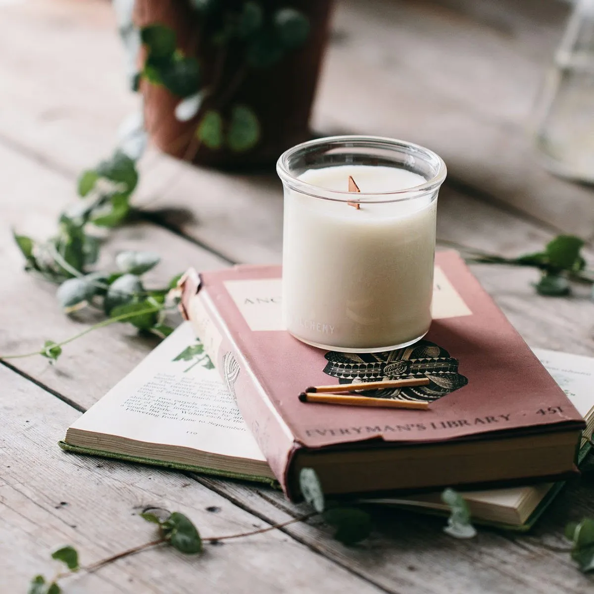 Winter Bergamot Botanical Candle