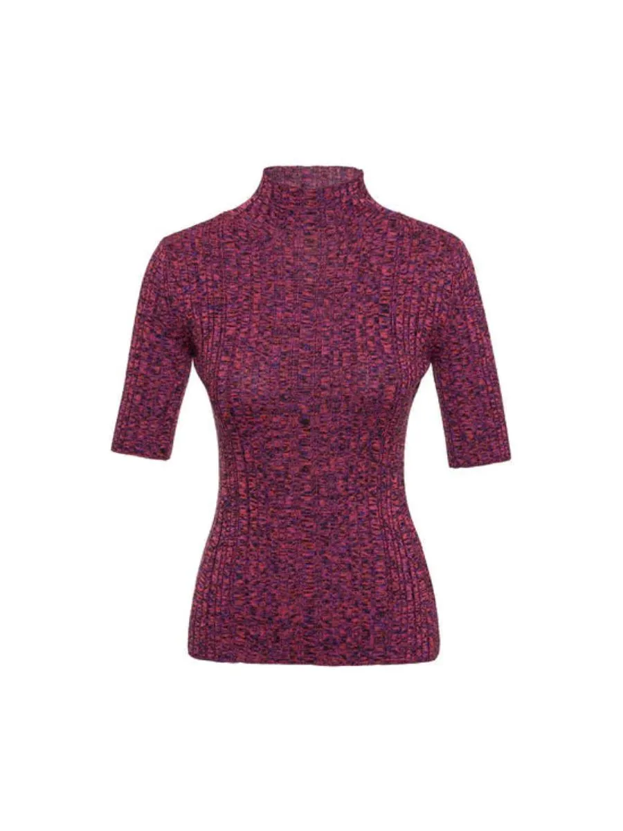 Wool Blended Purple Ting Melange Sweater